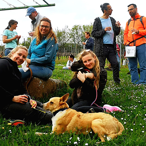 Weinwanderung04-600px